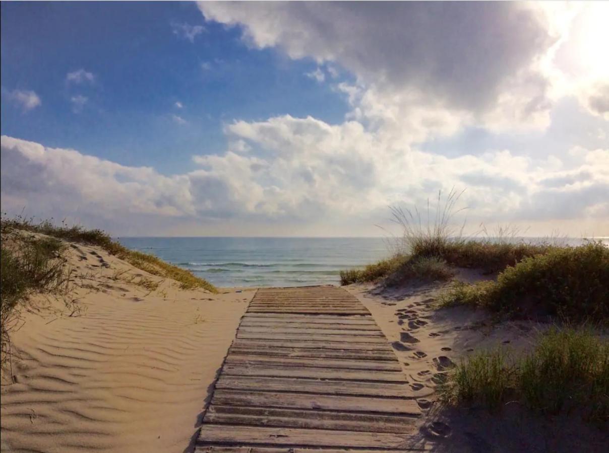 Apartamento Nuevo En La Playa- Met- Oliva Nova Golf Екстериор снимка